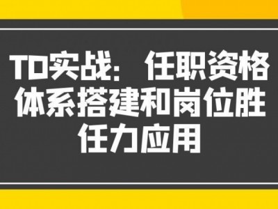 TD實戰(zhàn)：任職資格體系搭建和崗位勝任力應用